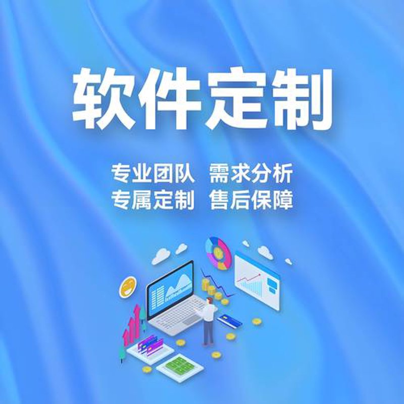 上海软件开发引领数字化转型风潮